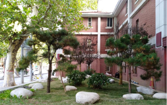 西安碑林区：让城区宜居和谐更美好