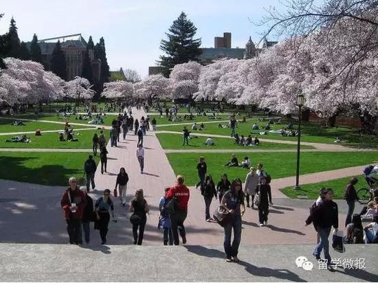 2016年美国最好的十所公立大学排行榜