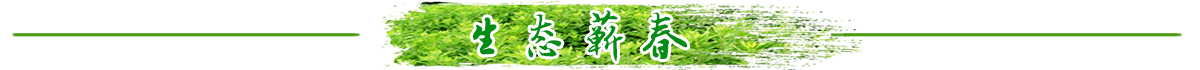 生态蕲春banner_fororder_生态蕲春