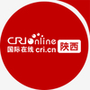 问题1