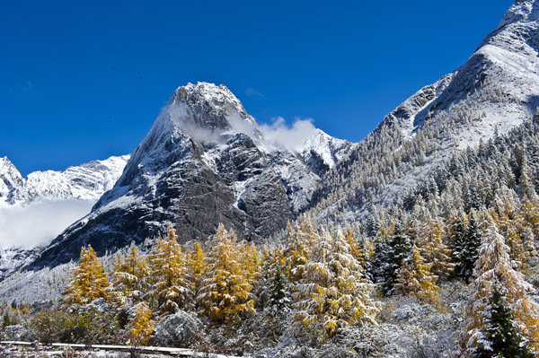 走进东方的“阿尔卑斯山”——四川四姑娘山_fororder_2、四姑娘山风光-供图-四姑娘山景区