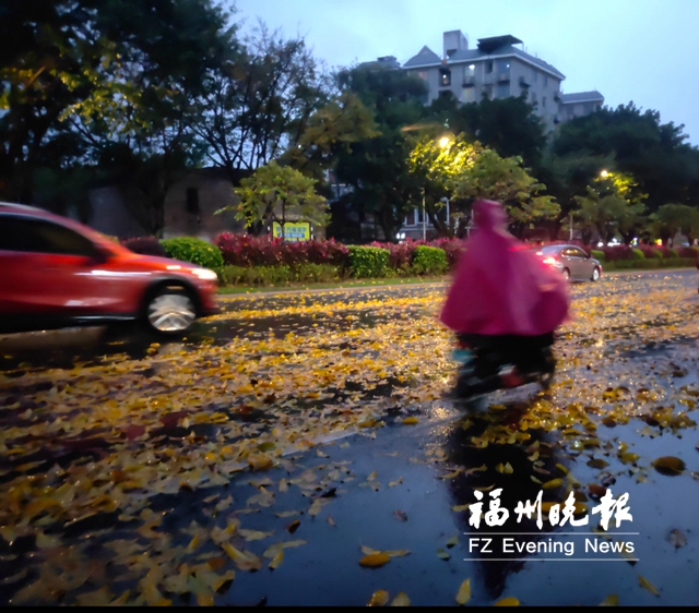 昨日风大雨急后天雨势增强 福州本周气温上蹿下跳