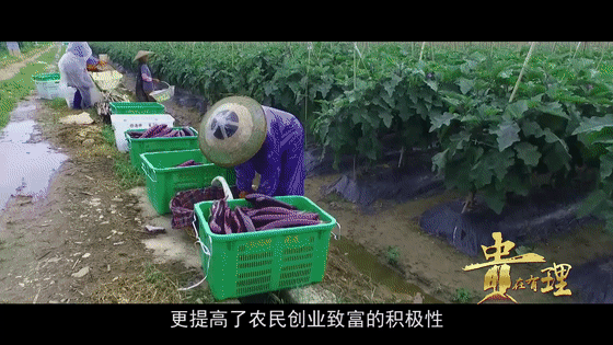 《贵在有理》贵州样板系列五：打通农村出行“最后一公里”