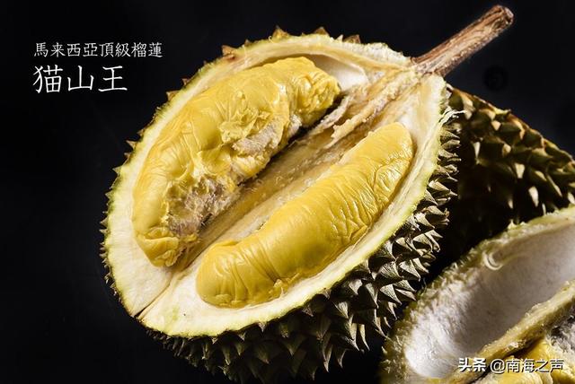 这个东南亚国家的农业和数字经济等领域值得中国资本关注