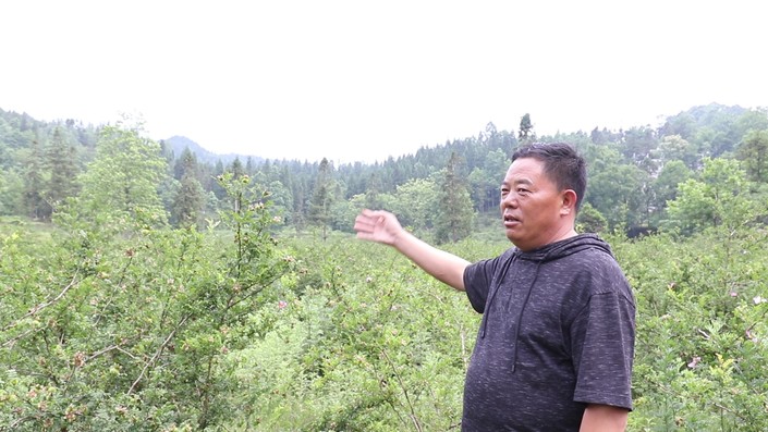 （市州）六盘水：煤矿业主转型 产业革命兴旺