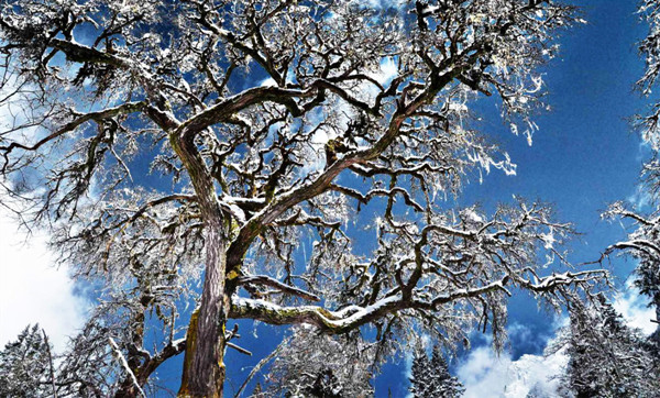 雪境仙山 四姑娘山诚邀广大游人共赏_fororder_4、四姑娘山风光-供图-四姑娘山景区