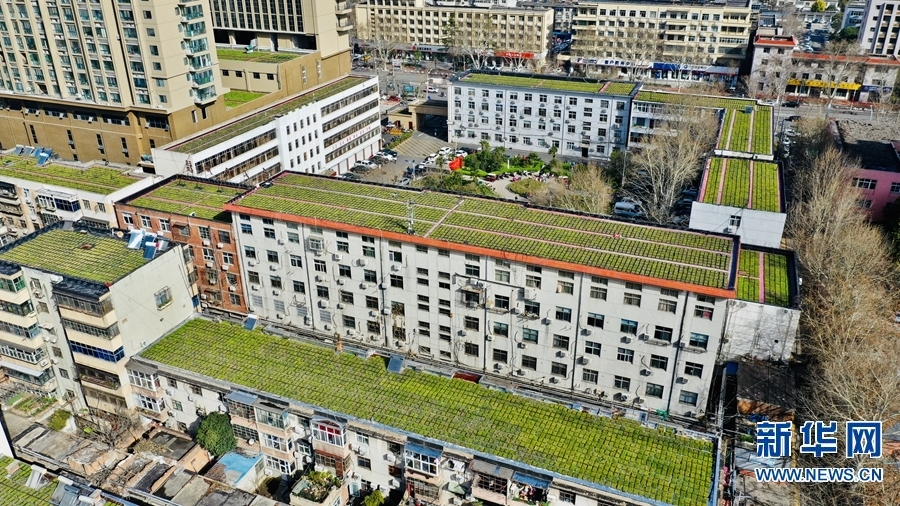 【城市远洋】【焦点图-大图】【移动端-轮播图】平顶山市：“空中绿地”节地又环保