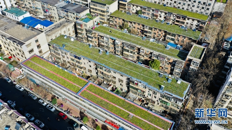 【城市远洋】【焦点图-大图】【移动端-轮播图】平顶山市：“空中绿地”节地又环保