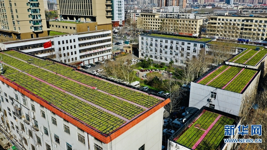【城市远洋】【焦点图-大图】【移动端-轮播图】平顶山市：“空中绿地”节地又环保