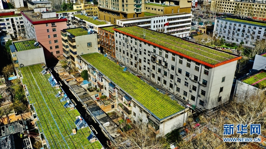 【城市远洋】【焦点图-大图】【移动端-轮播图】平顶山市：“空中绿地”节地又环保