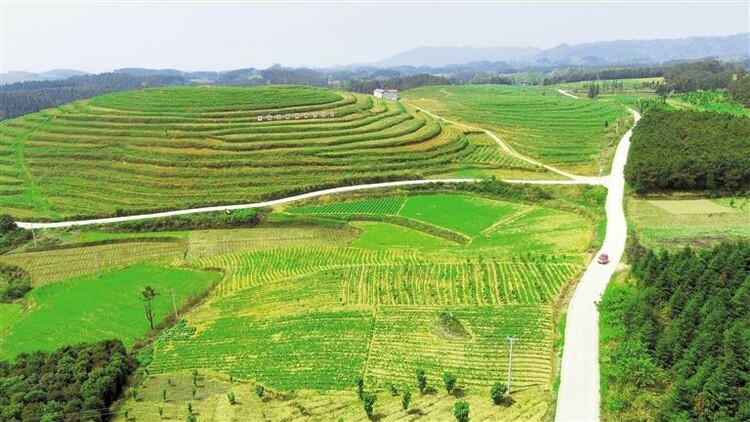 （中首）贵州公路铺筑山区幸福大道_fororder_路