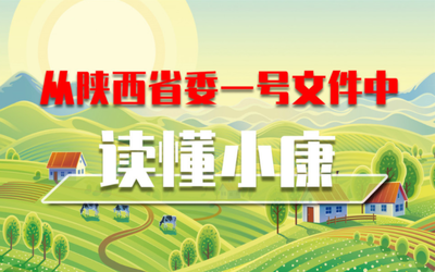 从陕西省委一号文件中读懂小康_fororder_QQ图片20210122165526