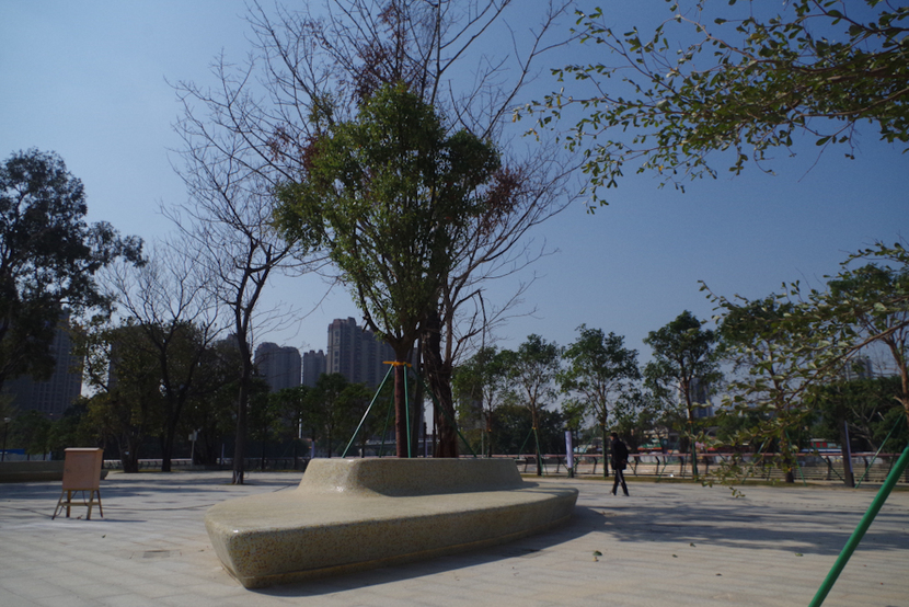 广东江门城市品质跨越式提升_fororder_0A66E608-6F7D-41C7-AA47-0766A72EC49A
