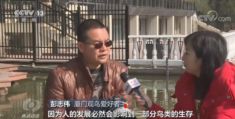 焦点访谈丨人不负青山 青山定不负人