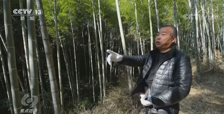 焦点访谈丨人不负青山 青山定不负人