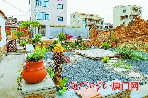 厦门高质量实施乡村振兴战略 典型经验在全省推广