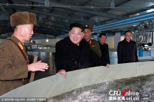金正恩视察养鱼场手抓鲶鱼喜笑颜开