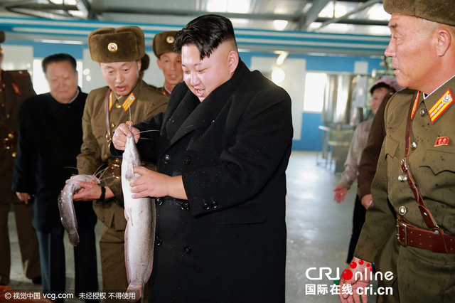金正恩视察养鱼场手抓鲶鱼喜笑颜开