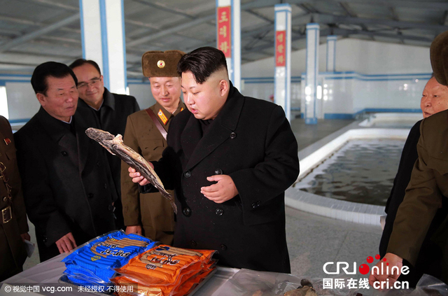 金正恩视察养鱼场手抓鲶鱼喜笑颜开