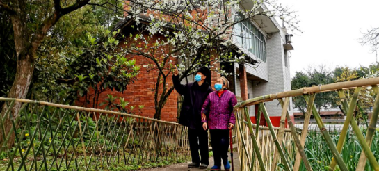 【周利宏已审】【重庆铜梁区委宣传部供稿】重庆铜梁旧县街道：鲜花绿篱美农家 乡村环境更宜居