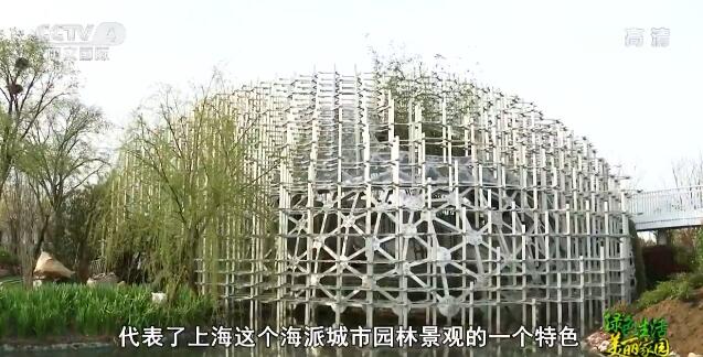 魅力世园会：中华园艺展示区特色呈现美丽中国