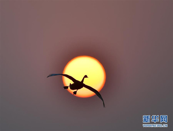 图片默认标题_fororder_空气_副本