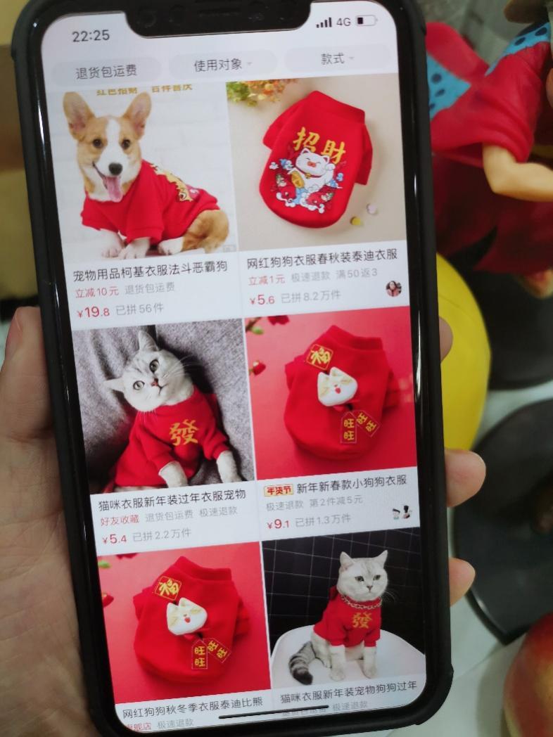 年轻人“就地过年三件套”拼多多热销：宠物服饰、健身器材、图书_fororder_图片2