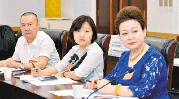 政协委员们分组讨论