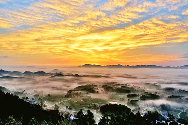 （黔茶贵水）傅传耀：2019，我们冲在最前面