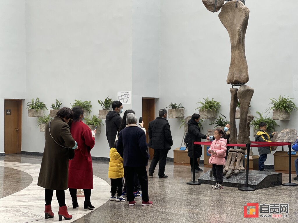 （转载）自贡旅游別样美 就地过年年味足 全市13个A级旅游景区接待游客24.56万人次