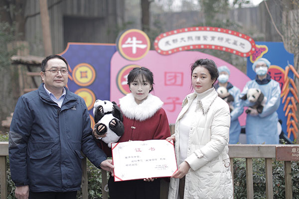 查收小年最萌“汤圆” 成都熊猫基地2020级熊猫幼仔新春拜年_fororder_2
