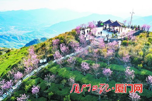 春节假期厦门同安区省市重点项目建设快马加鞭
