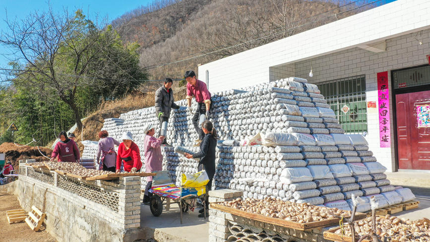 河南卢氏：人勤春早码“银山”