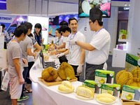 图片默认标题