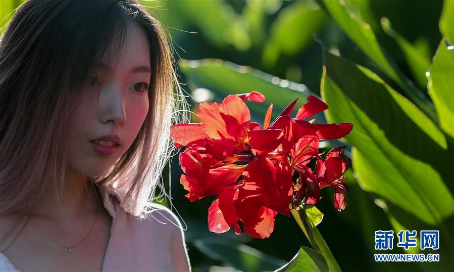 园艺中的诗情画意