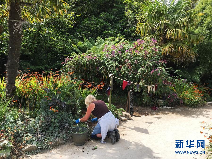 园艺中的诗情画意