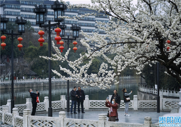 （中首）贵阳甲秀楼：春意上枝头