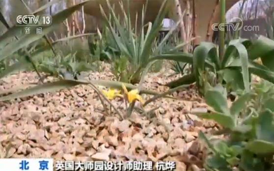 【魅力世园会】英国大师园：倡导新自然主义