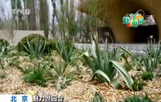 【魅力世园会】英国大师园：倡导新自然主义