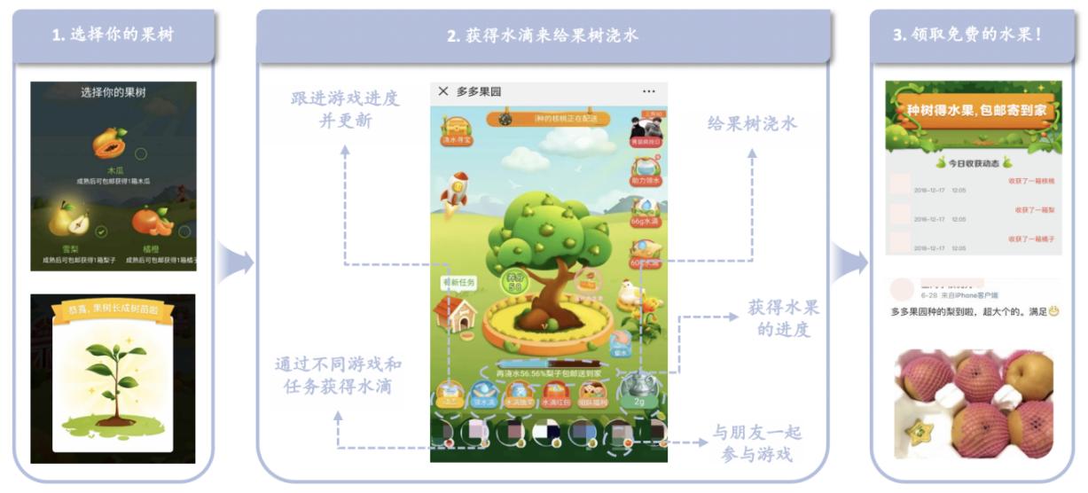 拼多多获全国脱贫攻坚先进集体表彰 CEO陈磊：将继续扎根“三农” 助力乡村振兴_fororder_4