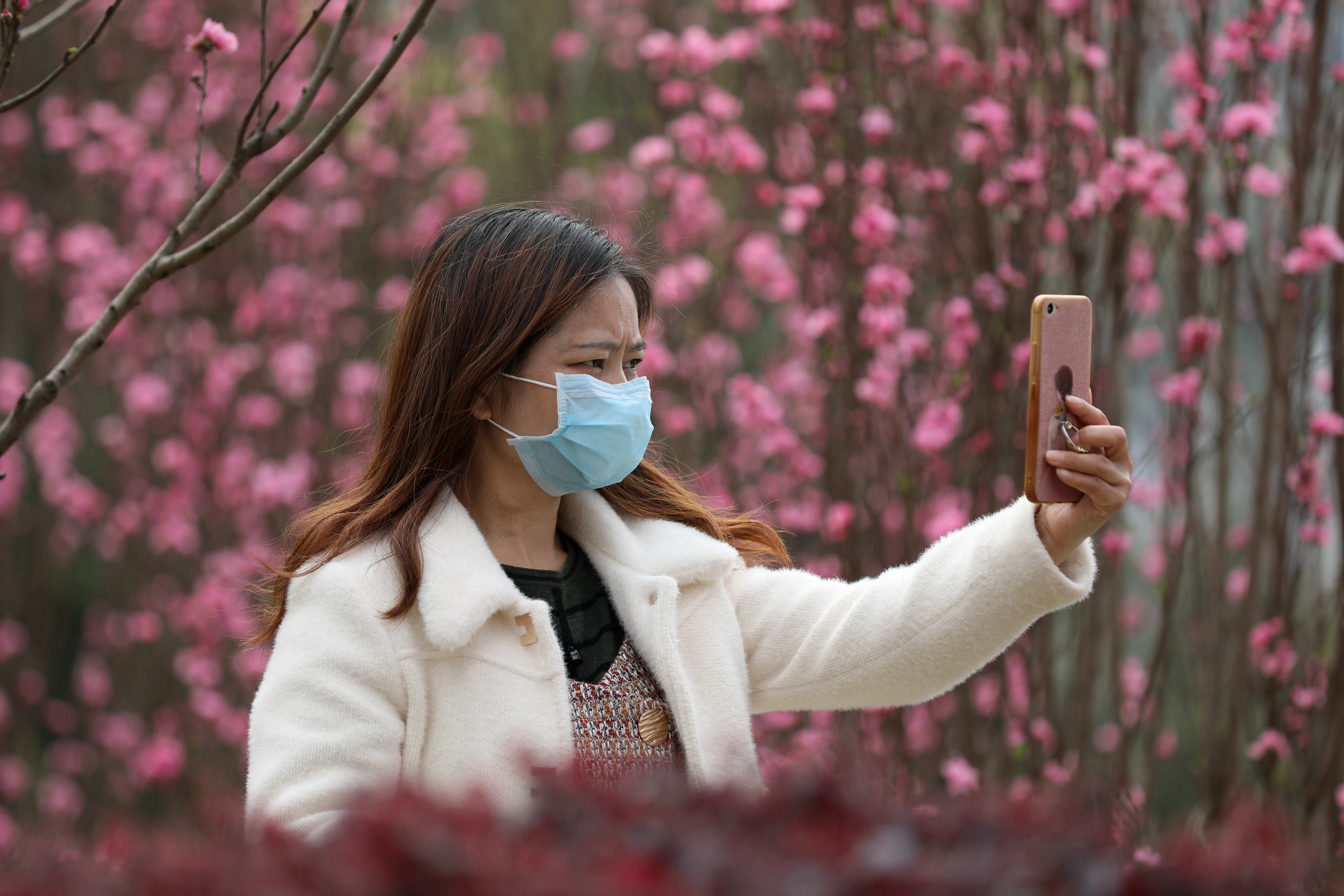 （文中做了修改）广西三江：桃花盛开醉游人
