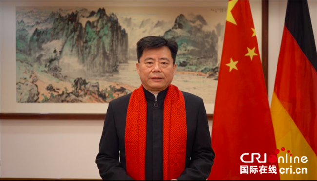 旅居德国奥地利青年艺术家欢聚“云端” 与海内外同胞共庆农历新年_fororder_2
