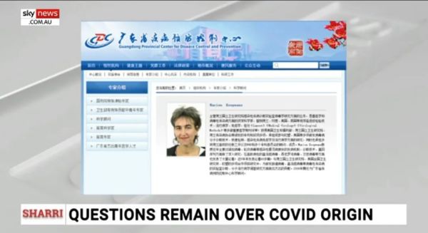 澳媒称发现世卫赴华专家“通中证据”，当事人回怼