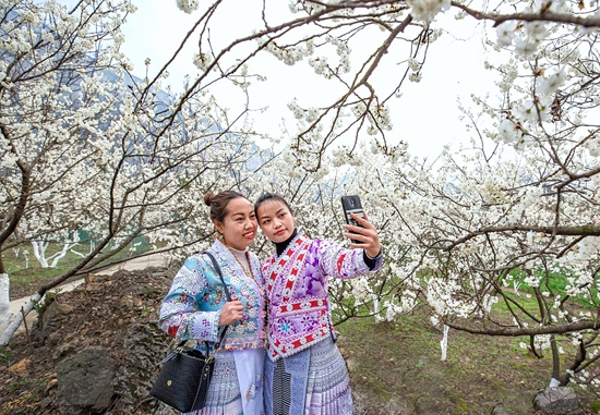贵州黔西：花开景美现春色
