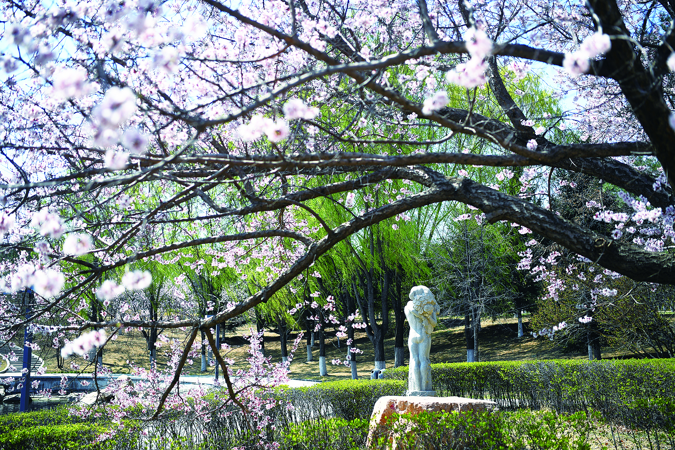 长春世界雕塑公园万尊雕塑“醉”花海