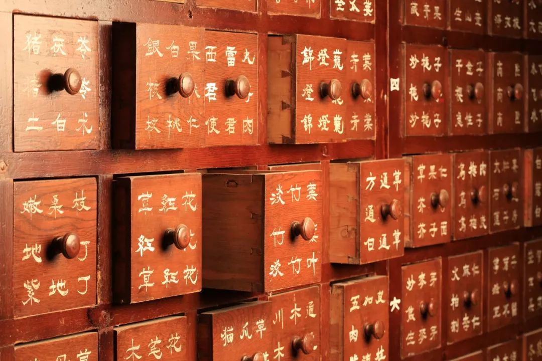 改变世界的中国植物