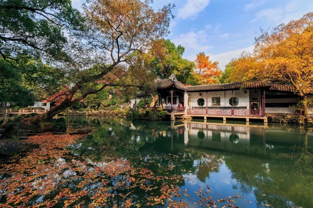 改变世界的中国植物