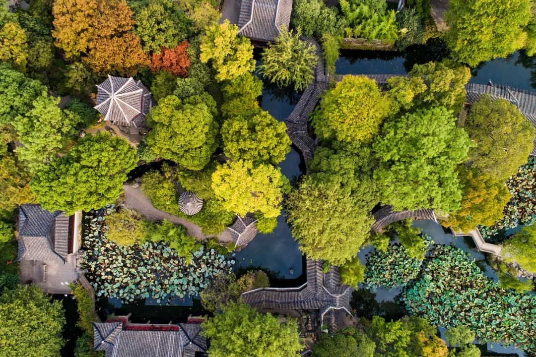 改变世界的中国植物