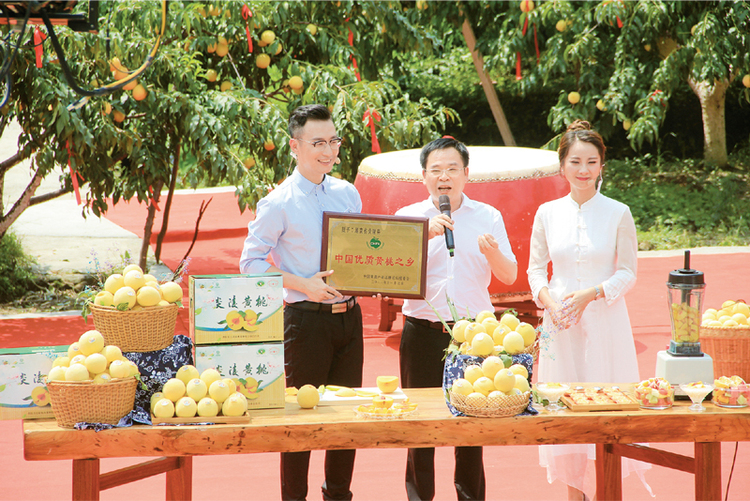 用生命践行脱贫攻坚使命的“一线总指挥”