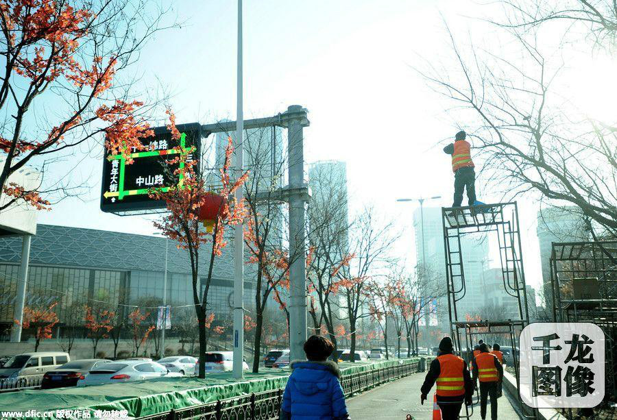 沈阳给大树装假树叶 遭市民吐槽(组图)